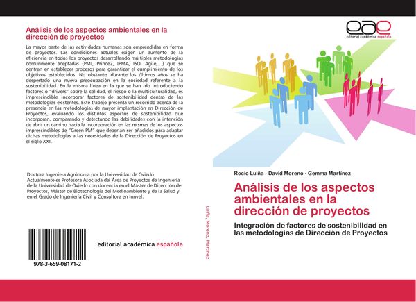 Produktbild: An&aacute;lisis de los aspectos ambientales en la direcci&oacute;n de proyectos
