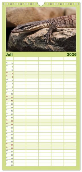Produktbild: Familienplaner 2026 - Echsen - Schuppige &Uuml;berlebensk&uuml;nstler mit 5 Spalten (Wandkalender, 21 x 45 cm) CALVENDO