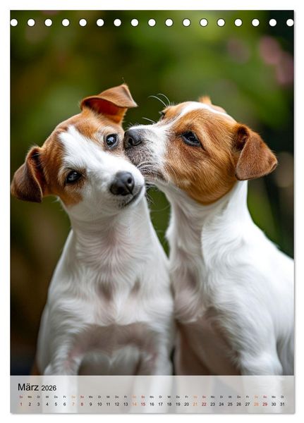 Produktbild: Jack Russel Terrier - furchtlos und viel Selbstvertrauen (Tischkalender 2026 DIN A5 hoch), CALVENDO Monatskalender