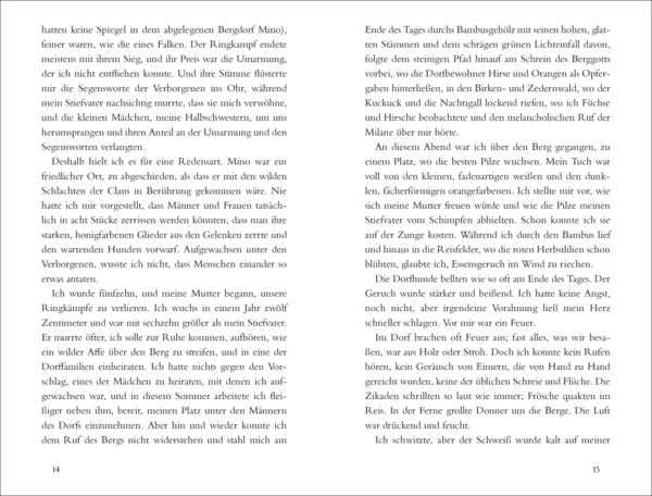 Produktbild: Der Clan der Otori. Das Schwert in der Stille