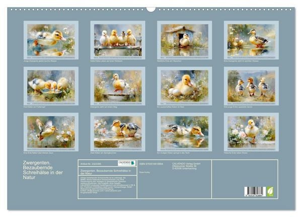 Produktbild: Zwergenten. Bezaubernde Schreih&auml;lse in der Natur (Wandkalender 2027 DIN A2 quer), CALVENDO Monatskalender