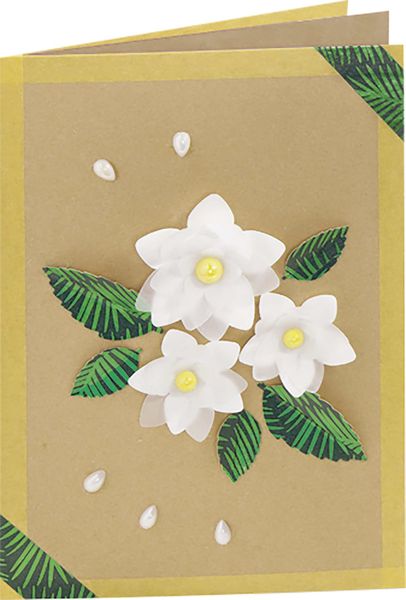 Produktbild: Folia Klappkarten/Doppelkarten f&uuml;r Einladungen, Gl&uuml;ckwunsch- oder Gru&szlig;karten, 10,5x15cm, natron-braun, 5 Karten + Kuverts + Einlagen