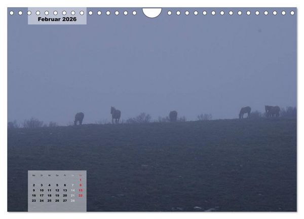 Produktbild: Nordportugal - Heimat der letzten wilden Pferde (Wandkalender 2026 DIN A4 quer), CALVENDO Monatskalender