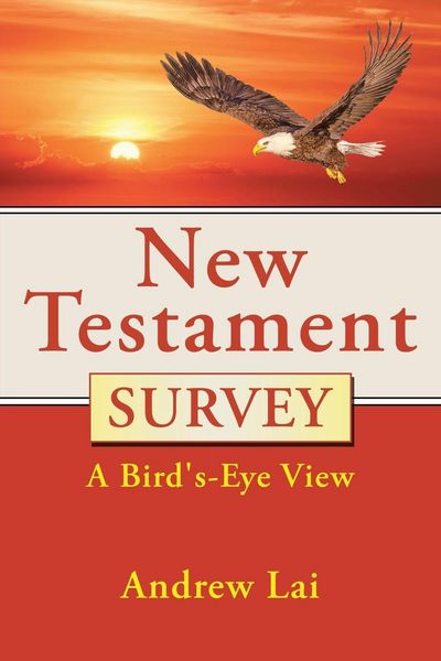 Produktbild: New Testament Survey