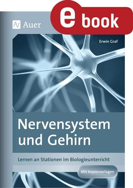 Produktbild: Nervensystem und Gehirn
