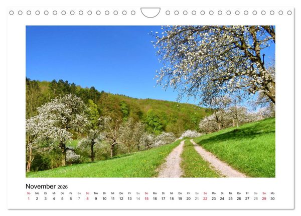 Produktbild: Kirschbl&uuml;te rund um Witzenhausen (Wandkalender 2026 DIN A4 quer), CALVENDO Monatskalender