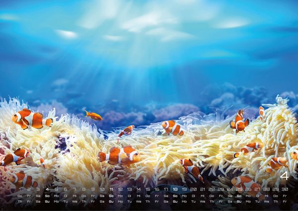 Produktbild: Meer &ndash; Im Rhythmus der Gezeiten! - 2027 - Kalender DIN A3