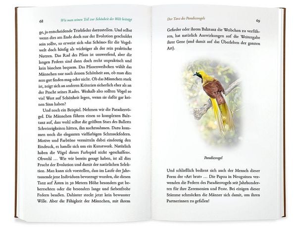 Produktbild: Kleine Philosophie der V&ouml;gel