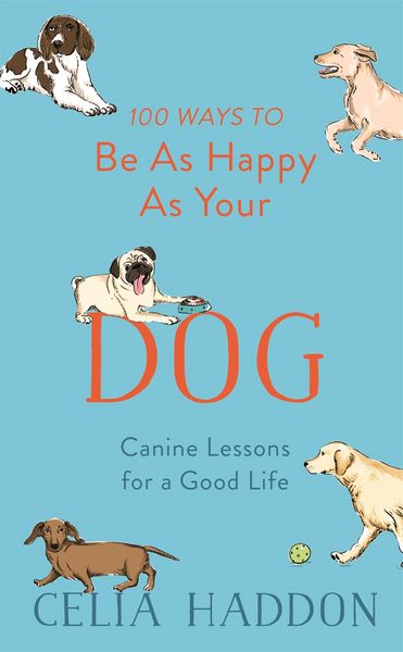 Produktbild: 100 Ways to Be as Happy as Your Dog