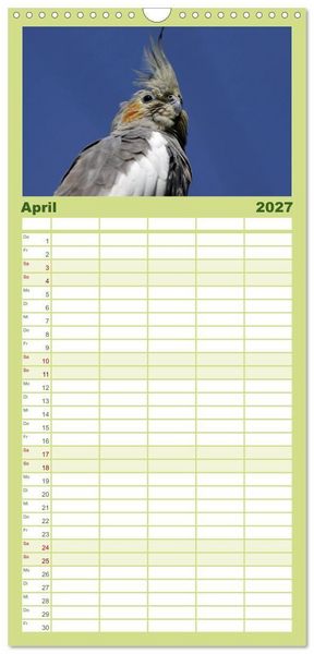 Produktbild: Familienplaner 2027 - Nymphensittiche mit 5 Spalten (Wandkalender, 21 x 45 cm) CALVENDO