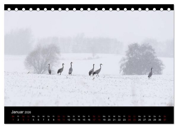 Produktbild: Naturwunder Norddeutschlands (Tischkalender 2026 DIN A5 quer), CALVENDO Monatskalender