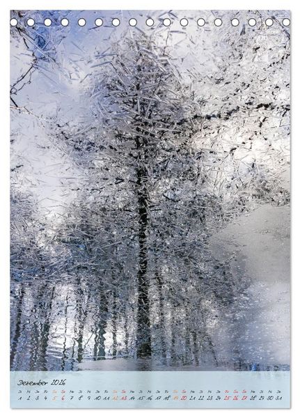 Produktbild: Wo der Wald tr&auml;umt (Tischkalender 2026 DIN A5 hoch), CALVENDO Monatskalender