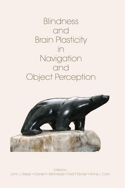 Produktbild: Blindness and Brain Plasticity in Navigation and Object Perception