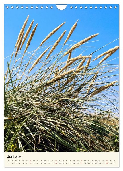 Produktbild: LANGEOOG Strandspaziergang (Wandkalender 2026 DIN A4 hoch), CALVENDO Monatskalender