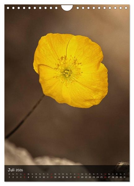 Produktbild: Alpenblumen 2026 (Wandkalender 2026 DIN A4 hoch), CALVENDO Monatskalender