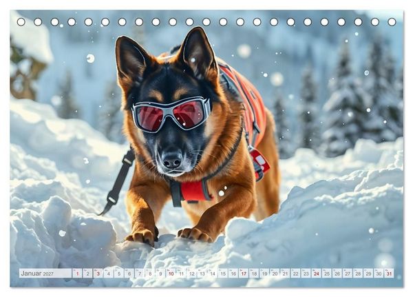 Produktbild: Sch&auml;ferhund 24/7 - Keine Pause f&uuml;r echte Helden (Tischkalender 2027 DIN A5 quer), CALVENDO Monatskalender