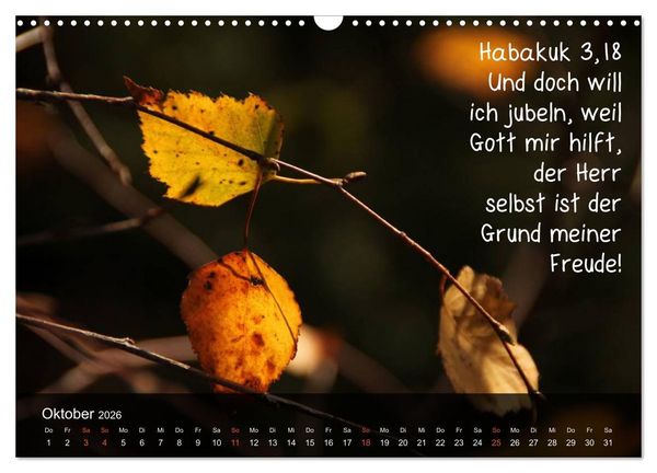 Produktbild: Sch&ouml;pfung im Licht (Wandkalender 2026 DIN A3 quer), CALVENDO Monatskalender