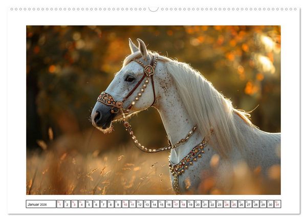 Produktbild: Bezaubernde Eleganz wei&szlig;er Pferde (hochwertiger Premium Wandkalender 2026 DIN A2 quer), Kunstdruck in Hochglanz
