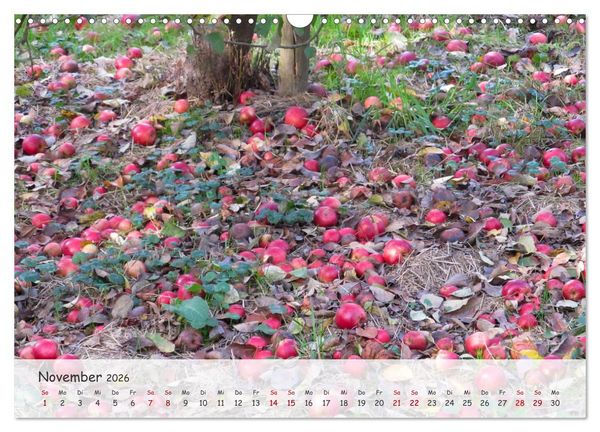 Produktbild: Vier Jahreszeiten - Eine Welt (Wandkalender 2026 DIN A3 quer), CALVENDO Monatskalender