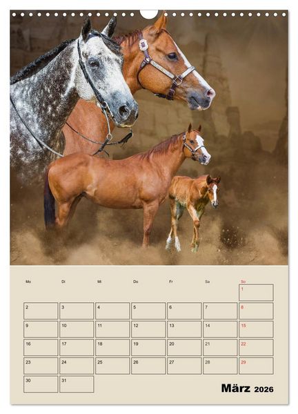 Produktbild: Pferdetr&auml;umereien - Traumbilder von Traumpferden (Wandkalender 2026 DIN A3 hoch), CALVENDO Monatskalender