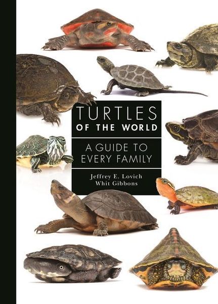 Produktbild: Turtles of the World