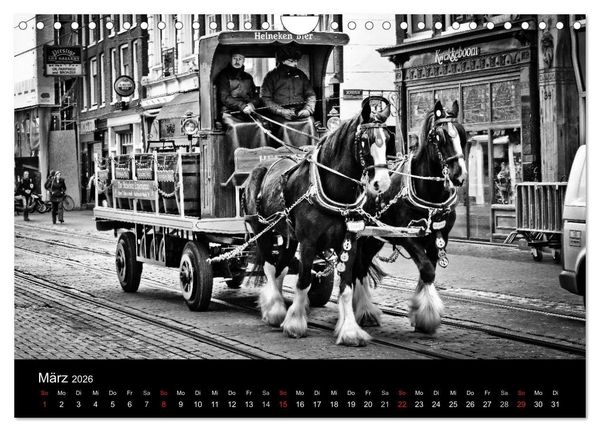 Produktbild: Amsterdam 2026 (Wandkalender 2026 DIN A4 quer), CALVENDO Monatskalender
