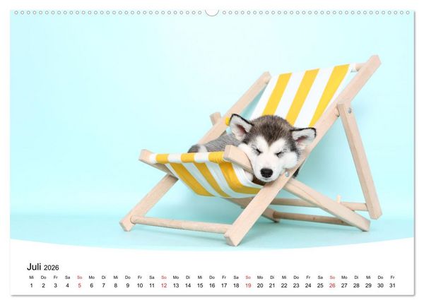 Produktbild: S&uuml;&szlig;e Tr&auml;ume 2026 - schlafende Hundewelpen (hochwertiger Premium Wandkalender 2026 DIN A2 quer), Kunstdruck in Hochglanz