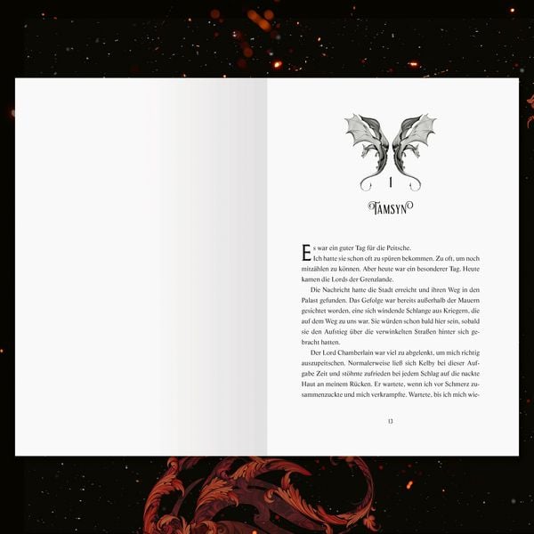 Produktbild: A Fire in the Sky - Feuerschwur-Chroniken, Band 1