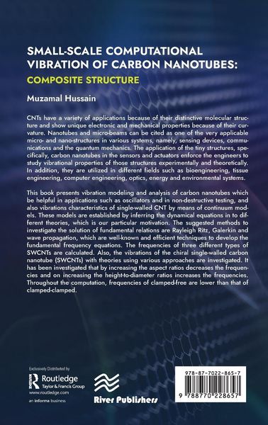 Produktbild: Small-scale Computational Vibration of Carbon Nanotubes