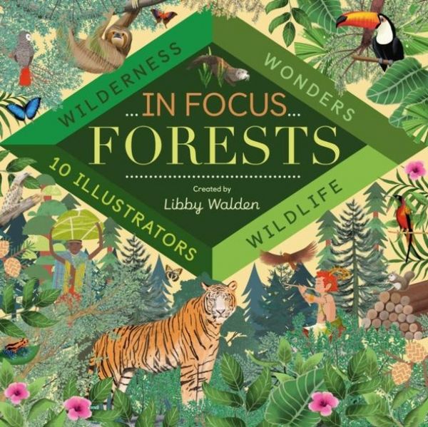 Produktbild: In Focus: Forests