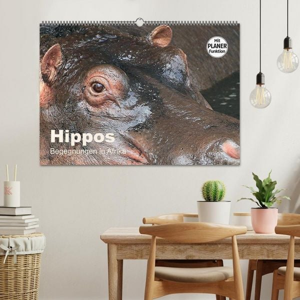 Produktbild: Hippos - Begegnungen in Afrika (Wandkalender 2027 DIN A2 quer), CALVENDO Monatskalender