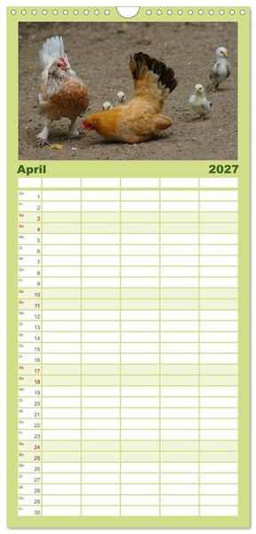 Produktbild: Familienplaner 2027 - Die Welt der H&uuml;hner mit 5 Spalten (Wandkalender, 21 x 45 cm) CALVENDO