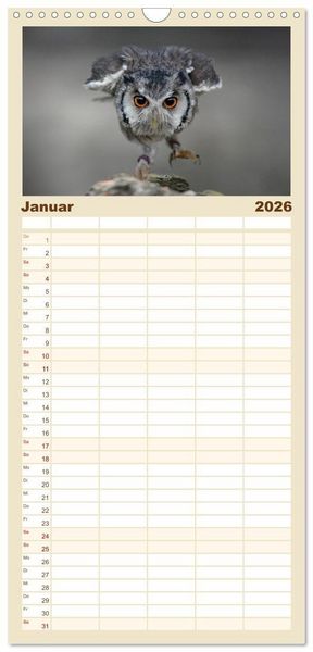 Produktbild: Familienplaner 2026 - Eulen - sch&ouml;n und geheimnisvoll mit 5 Spalten (Wandkalender, 21 x 45 cm) CALVENDO