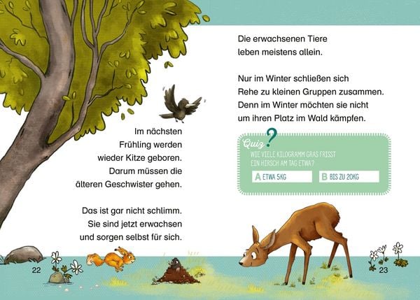 Produktbild: Tierkinder im Wald