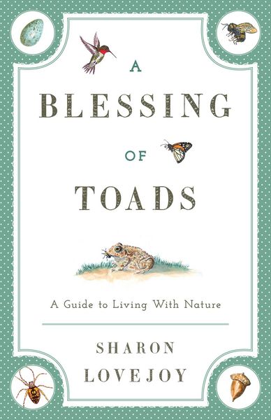 Produktbild: A Blessing of Toads