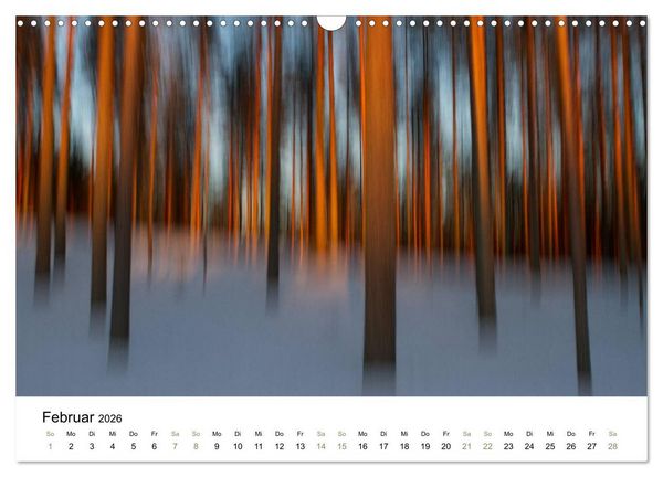 Produktbild: Einblick-Natur: Finnland nat&uuml;rlich (Wandkalender 2026 DIN A3 quer), CALVENDO Monatskalender