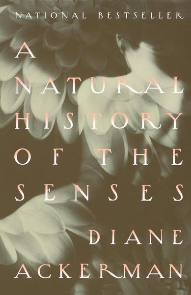 Produktbild: A Natural History of the Senses
