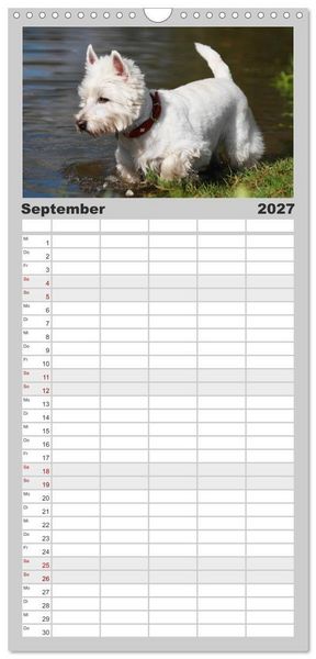 Produktbild: Familienplaner 2027 - West Highland White Terrier - Selbstbewustes Powerpaket - der Westie mit 5 Spalten (Wandkalender, 21 x 45 cm) CALVENDO