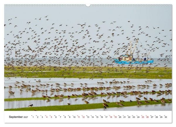 Produktbild: Pellwormer Ogenblicke, ein Streifzug durch ein Inseljahr (Wandkalender 2027 DIN A2 quer), CALVENDO Monatskalender