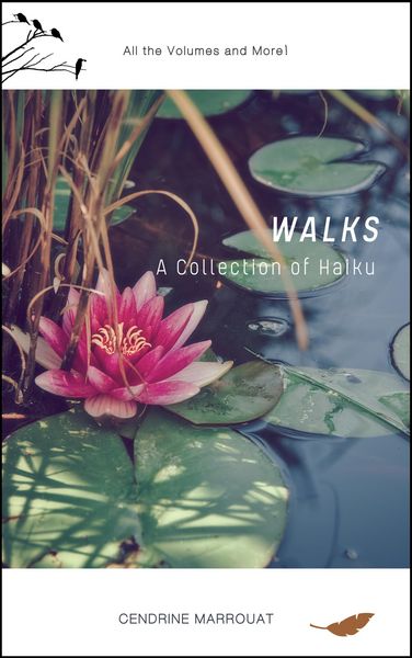 Produktbild: Walks: A Collection of Haiku (All the Volumes and More!)