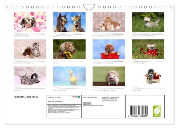 Produktbild: lach mit...just smile (Wandkalender 2027 DIN A4 quer), CALVENDO Monatskalender
