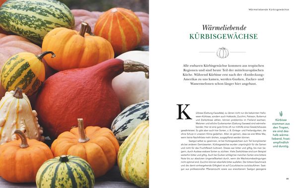 Produktbild: Das gro&szlig;e Garten-Gem&uuml;se-Buch