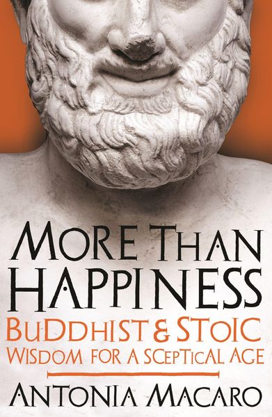 Produktbild: More Than Happiness