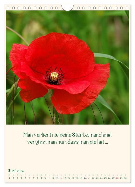 Produktbild: Mit Blumen durchs Jahr (Wandkalender 2026 DIN A4 hoch), CALVENDO Monatskalender