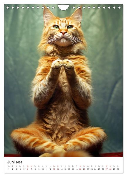 Produktbild: Miau Yoga (Wandkalender 2026 DIN A4 hoch), CALVENDO Monatskalender