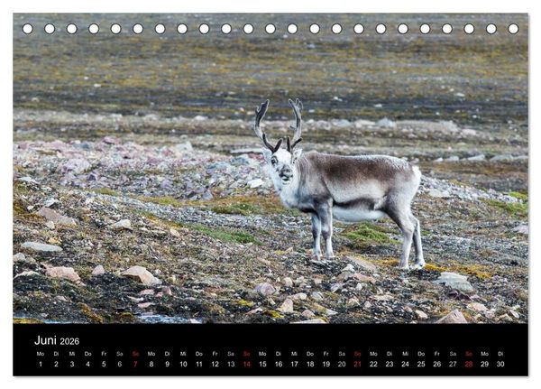 Produktbild: TRAUMZIEL ARKTIS, Impressionen vom Rand der Welt (Tischkalender 2026 DIN A5 quer), CALVENDO Monatskalender