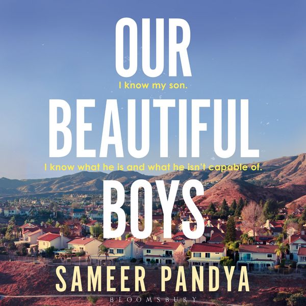 Produktbild: Our Beautiful Boys