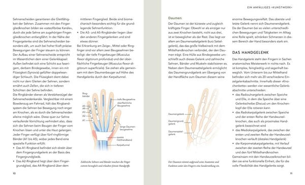 Produktbild: Hand & Ellenbogen Schmerzen selbst behandeln
