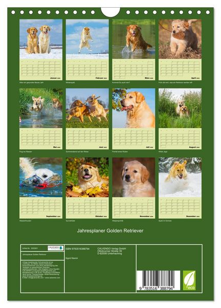 Produktbild: Jahresplaner Golden Retriever (Wandkalender 2026 DIN A4 hoch), CALVENDO Monatskalender