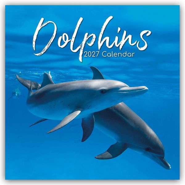 Produktbild: Dolphins &ndash; Delfine &ndash; Delphine 2027 &ndash; 16-Monatskalender
